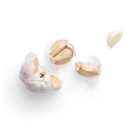 Garlic bulbs, the source of aged garlic extract for heart health