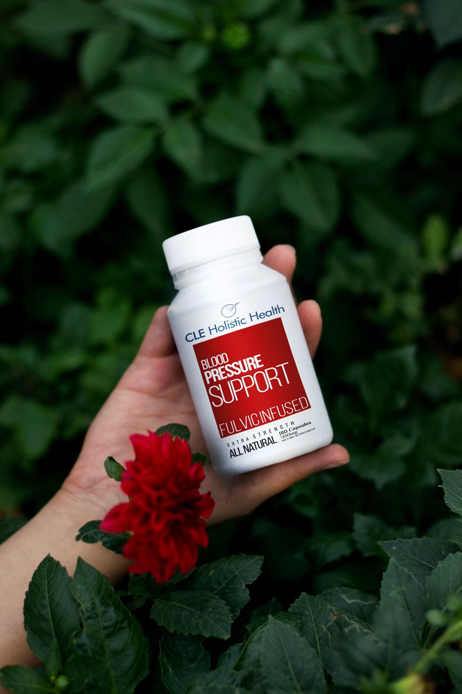 Blood pressure support bottle held among green leaves